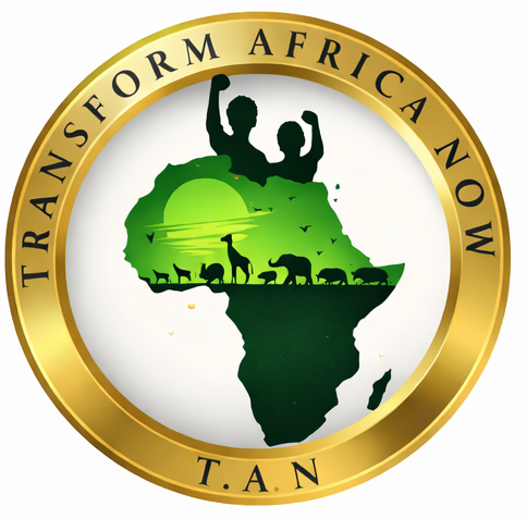 Transform Africa Now logo